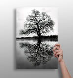 Alone Tree Aluminum Print