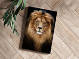 Lion Aluminum Print