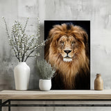 Lion Aluminum Print