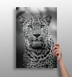 Leopard Aluminum Print