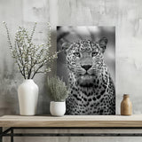 Leopard Aluminum Print