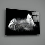 Feather Glass Wall Art