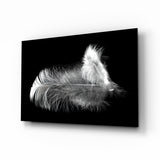 Feather Glass Wall Art