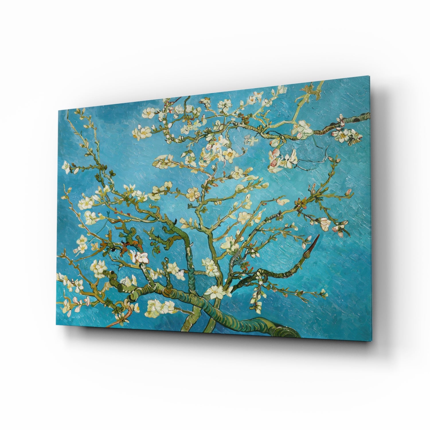 White Flowers Glass Wall Art