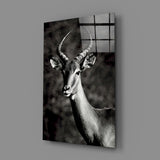 Deer Glass Wall Art