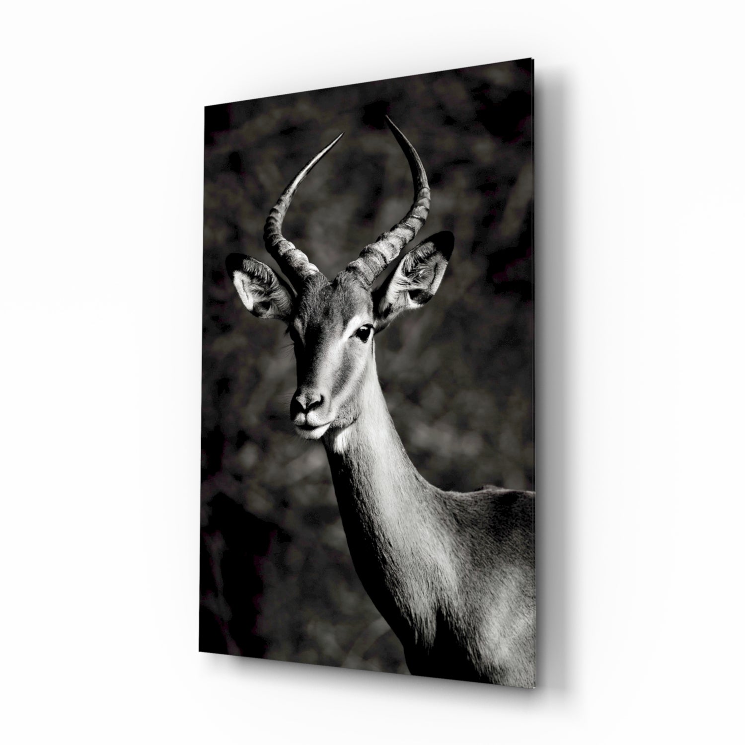 Deer Glass Wall Art