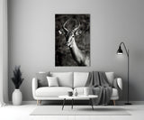 Deer Glass Wall Art