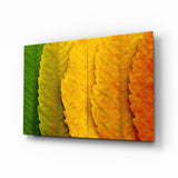 Autumn Leaves Glass Wall Art