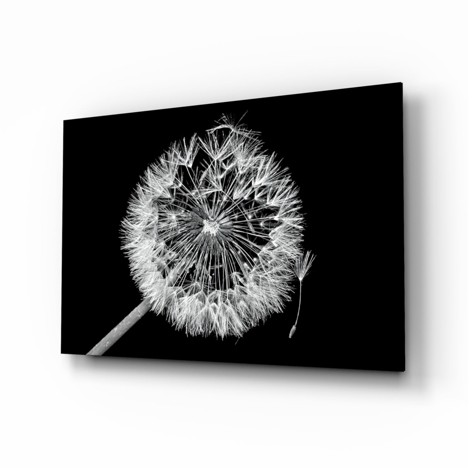 Dandelion Glass Wall Art