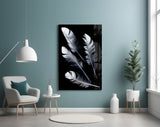 Feather Glass Wall Art