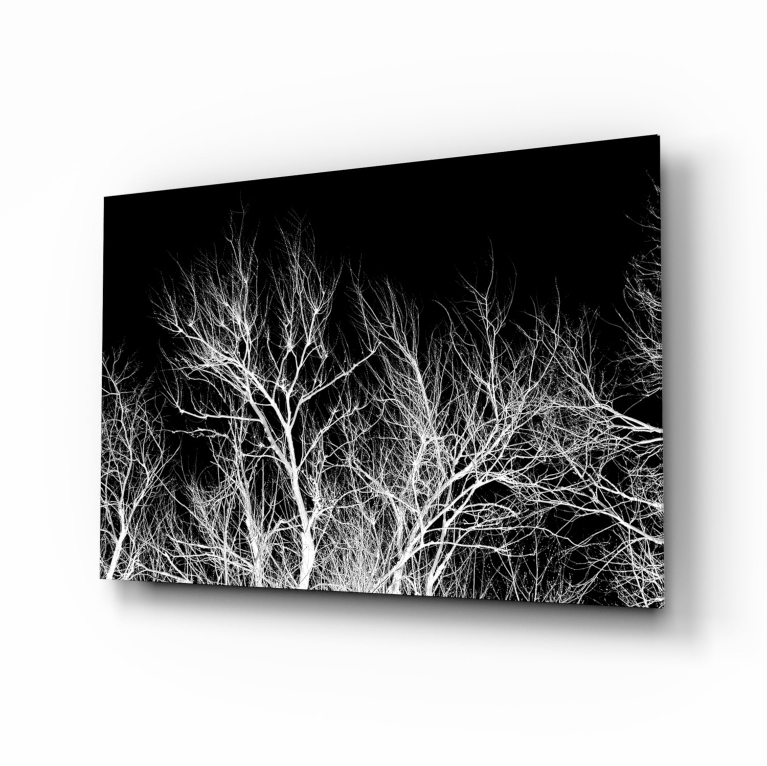 Night of the Tree Glass Wall Art