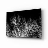 Night of the Tree Glass Wall Art