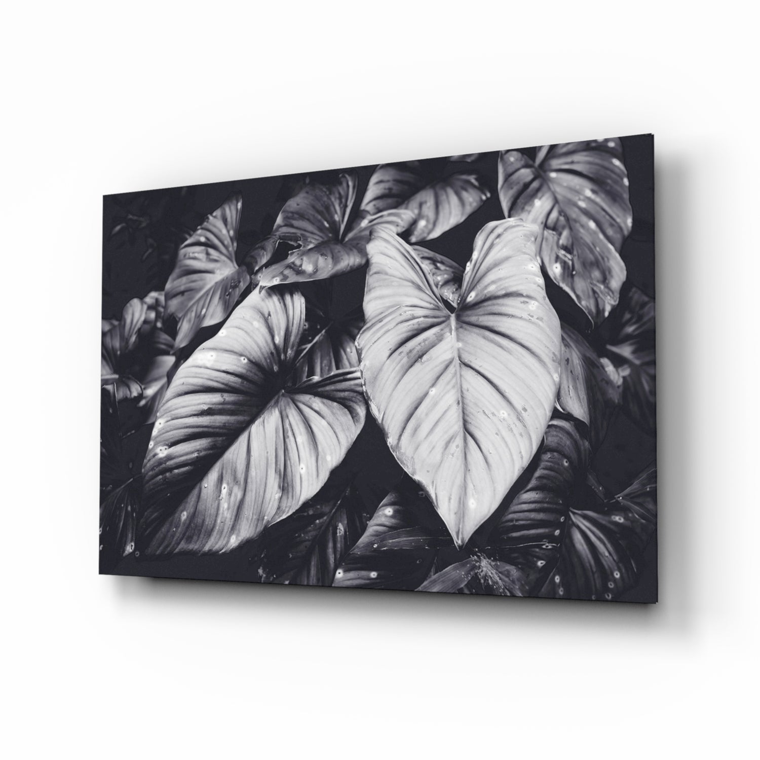 Leaves Glass Wall Art