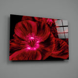 Malvales Flower Glass Wall Art