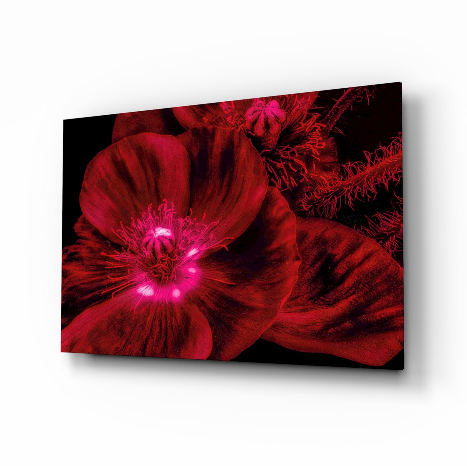 Malvales Flower Glass Wall Art