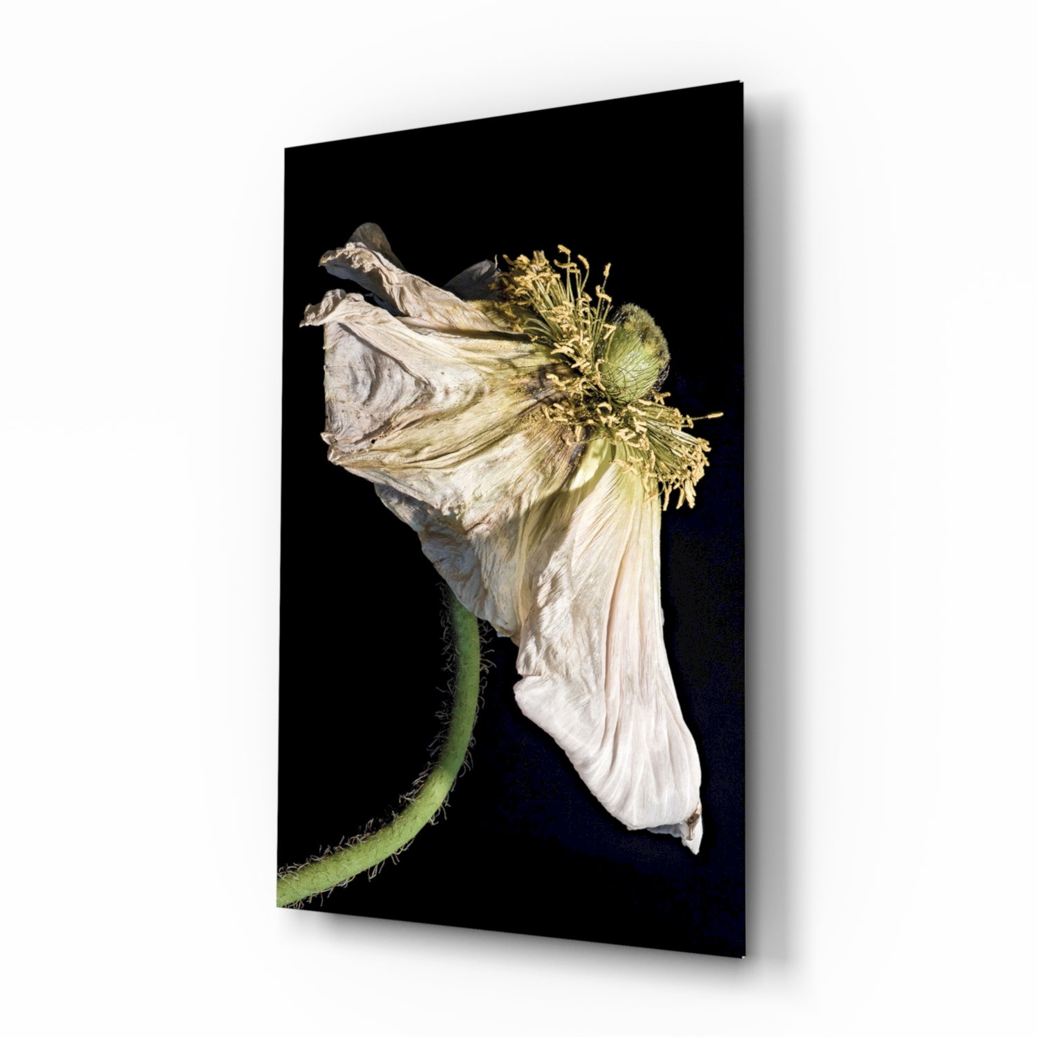 Flower Glass Wall Art