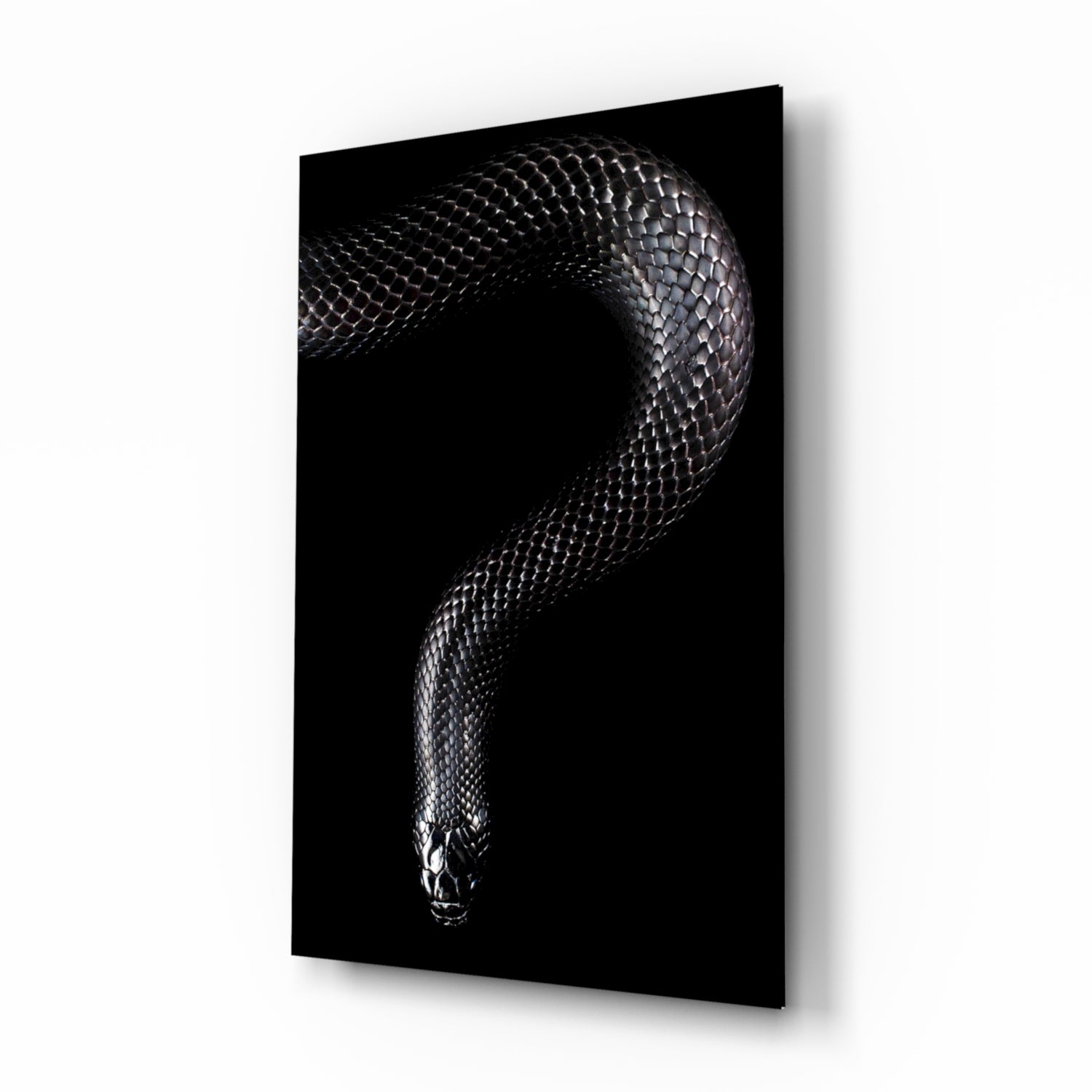 Snake Glass Wall Art