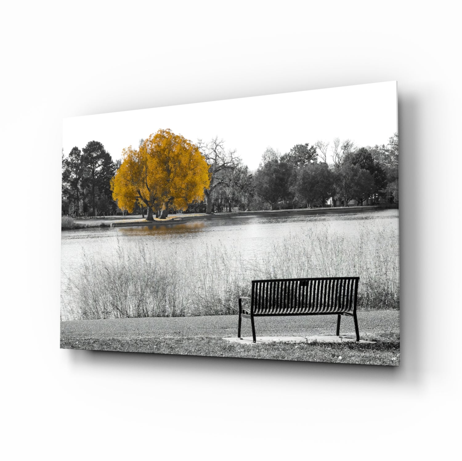 Yellow Tree Glass Wall Art