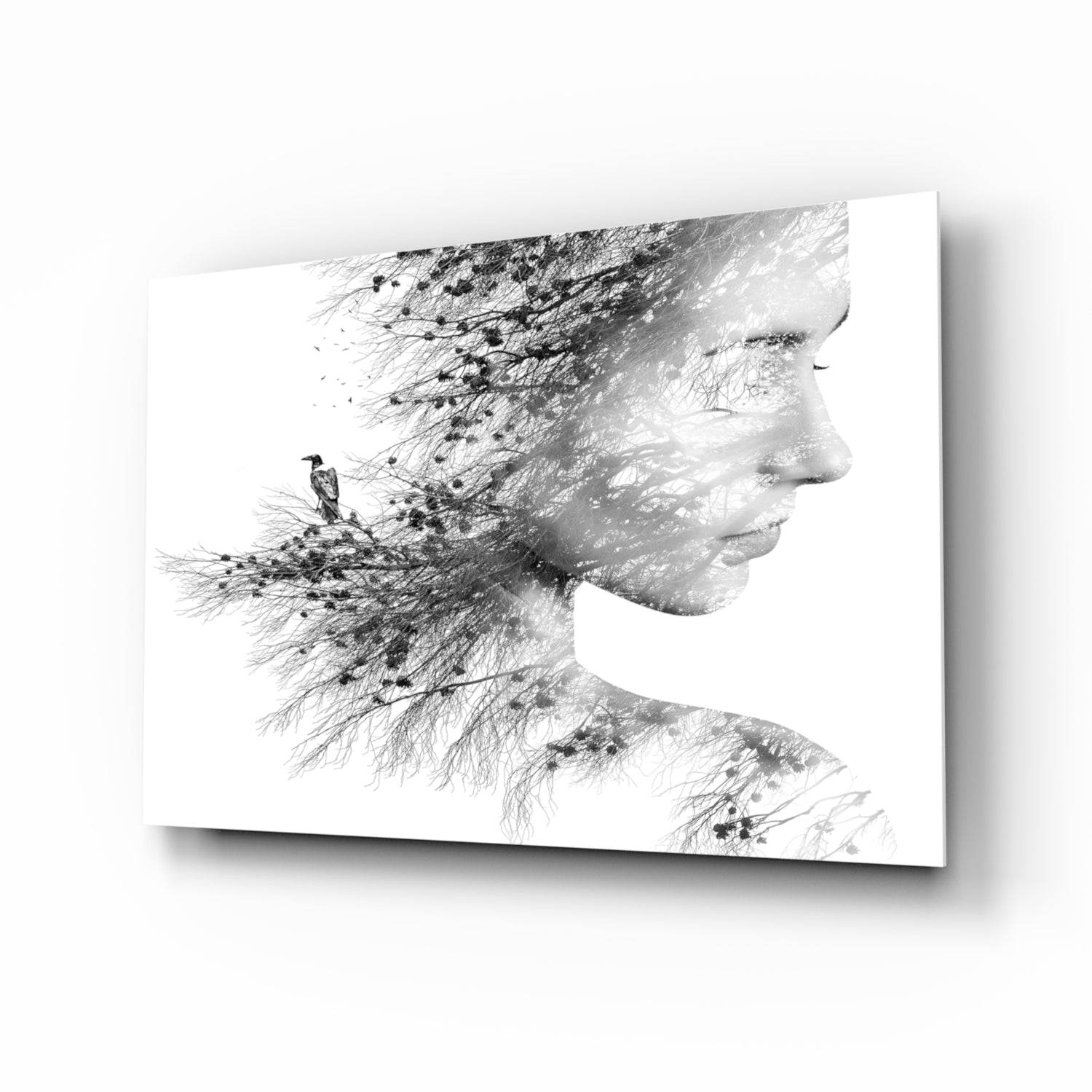 Woman Bird Glass Wall Art