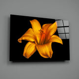 Lily Glass Wall Art