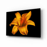 Lily Glass Wall Art