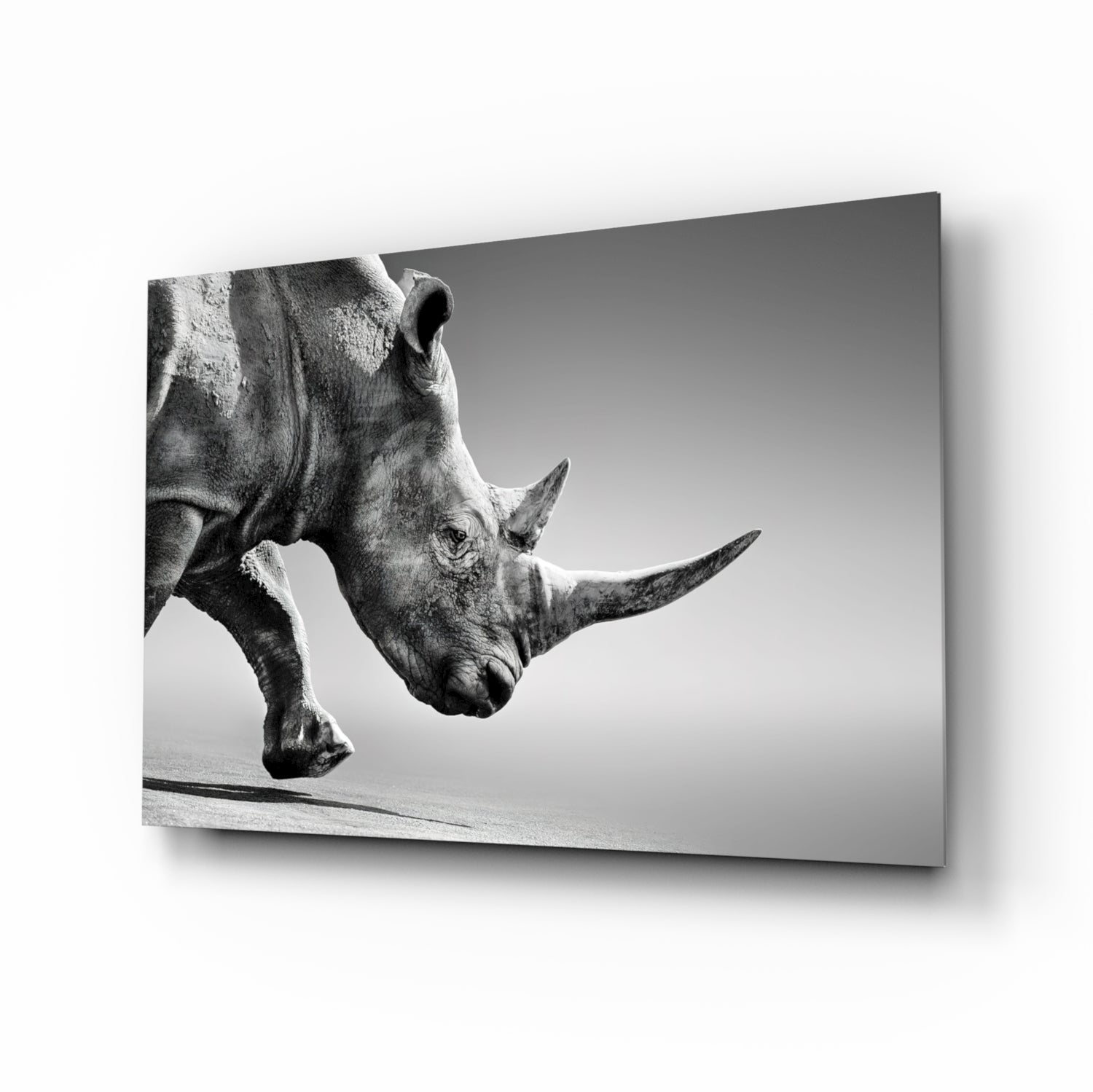 Black Rhino Glass Wall Art