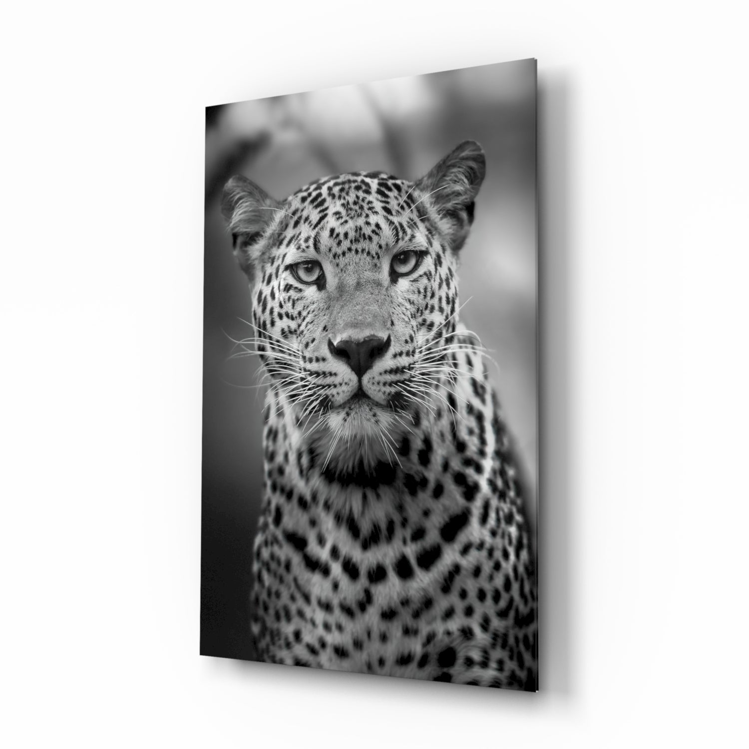 Leopard Glass Wall Art