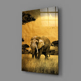 Elephant Glass Wall Art