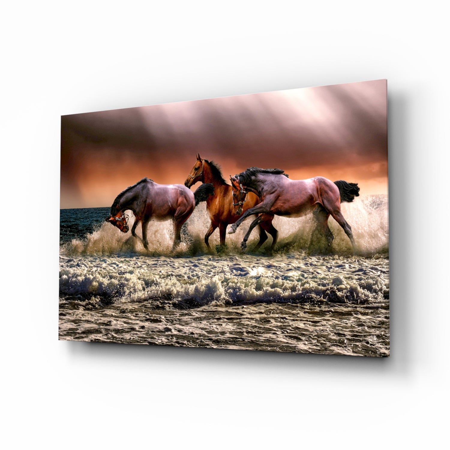 Horses Glass Wall Art