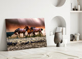 Horses Glass Wall Art