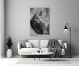 Cat Glass Wall Art