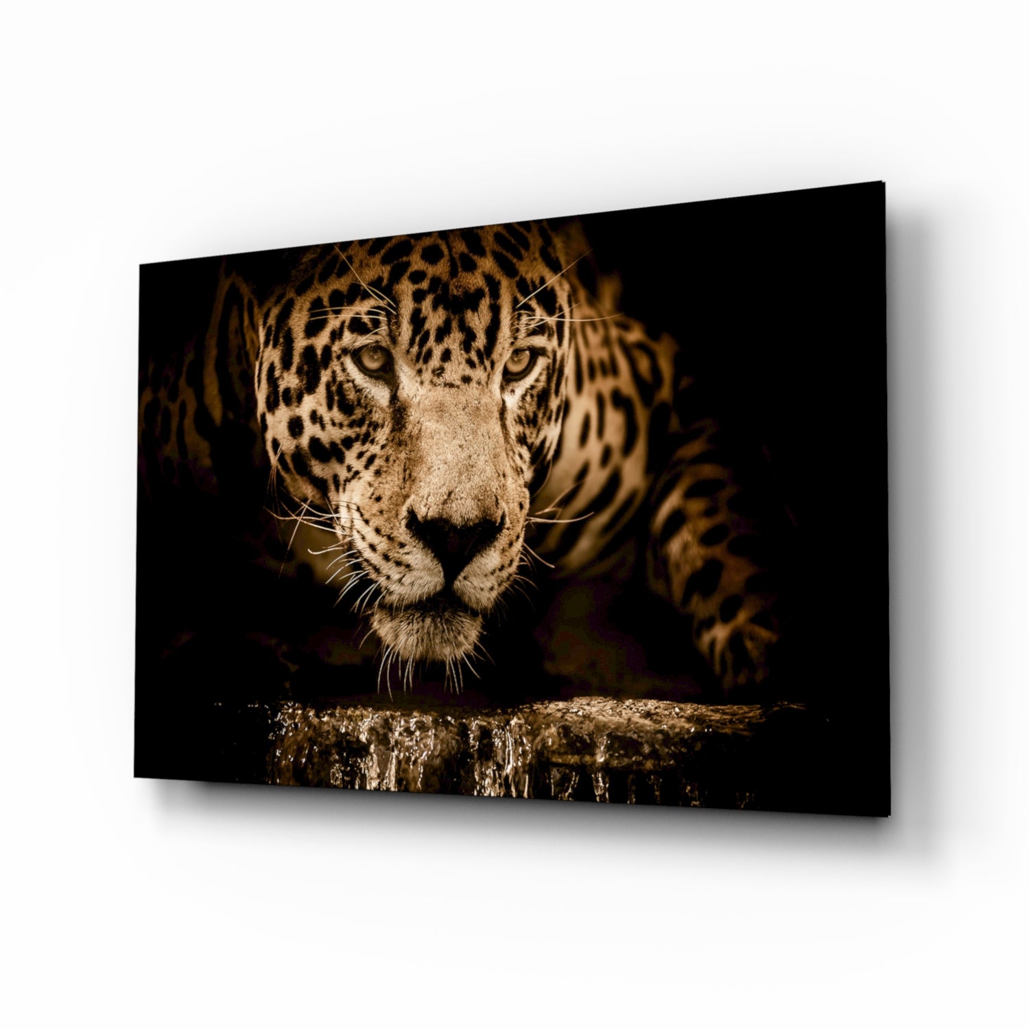 Leopard Glass Wall Art