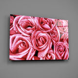 Pink Rose Glass Wall Art