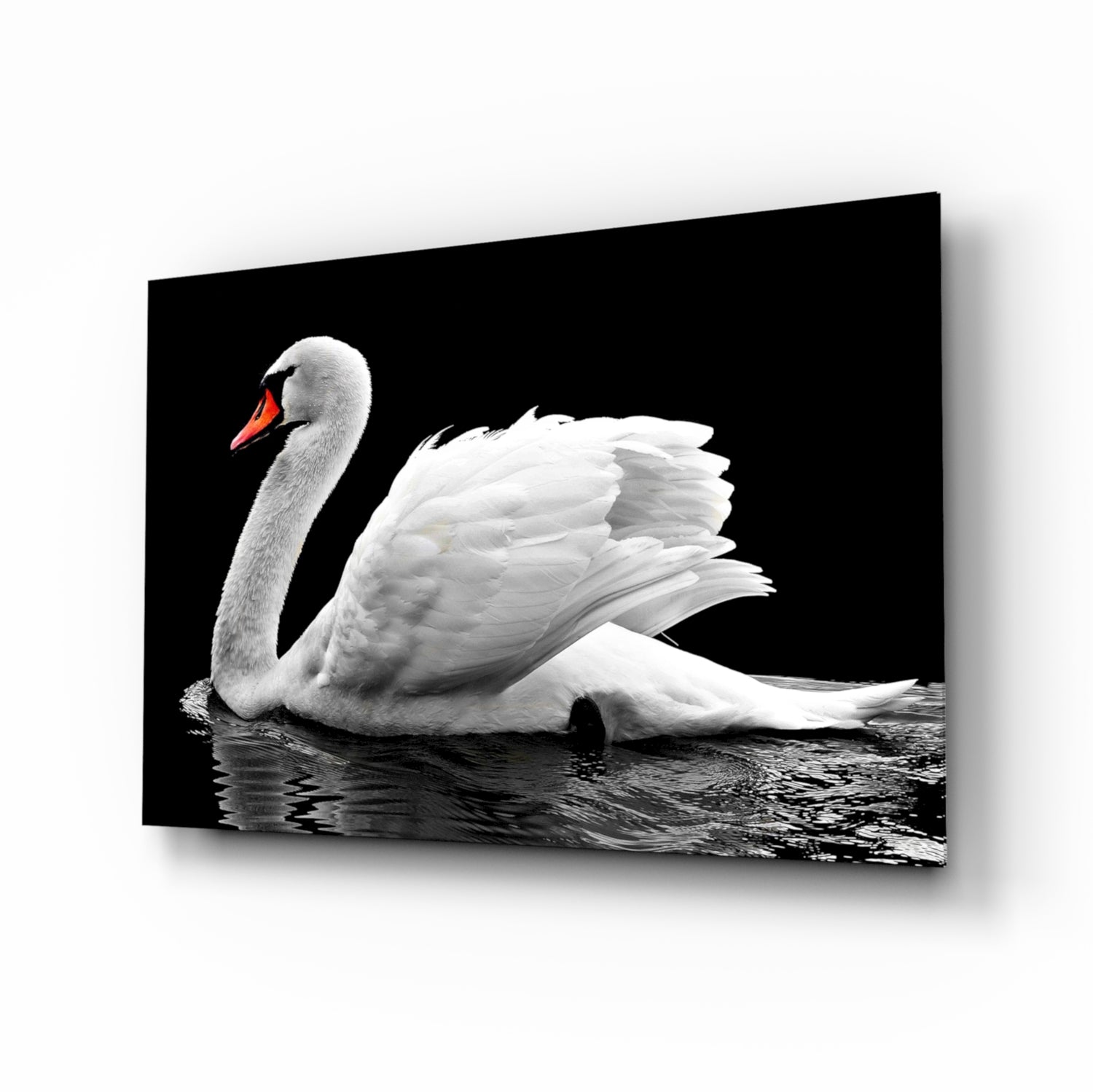 Swan Glass Wall Art