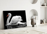 Swan Glass Wall Art