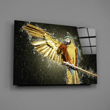 Parrot Glass Wall Art