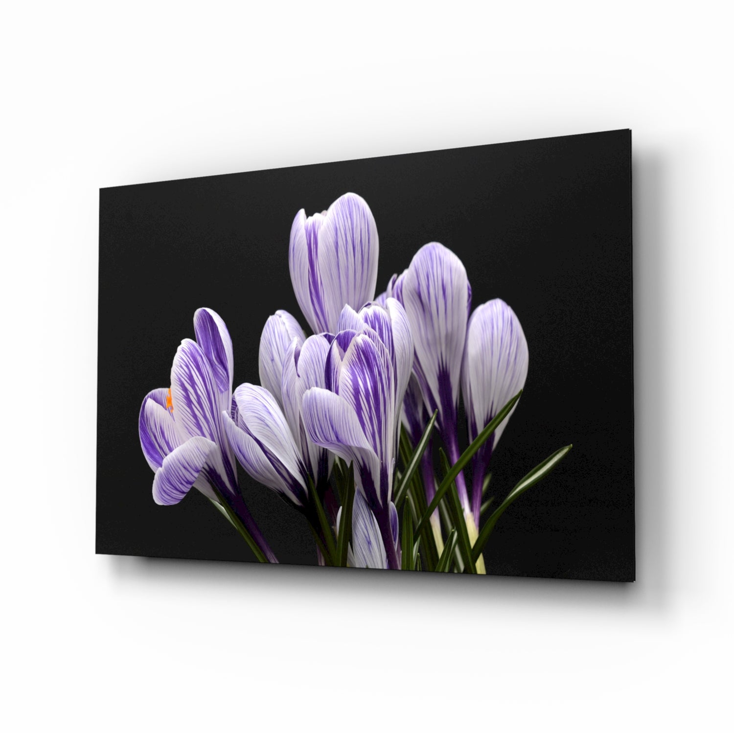 Purple Flowers Glass Wall Art