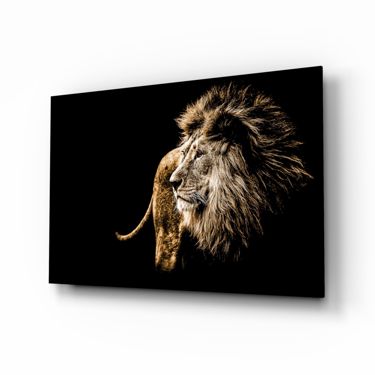 Lion Glass Wall Art