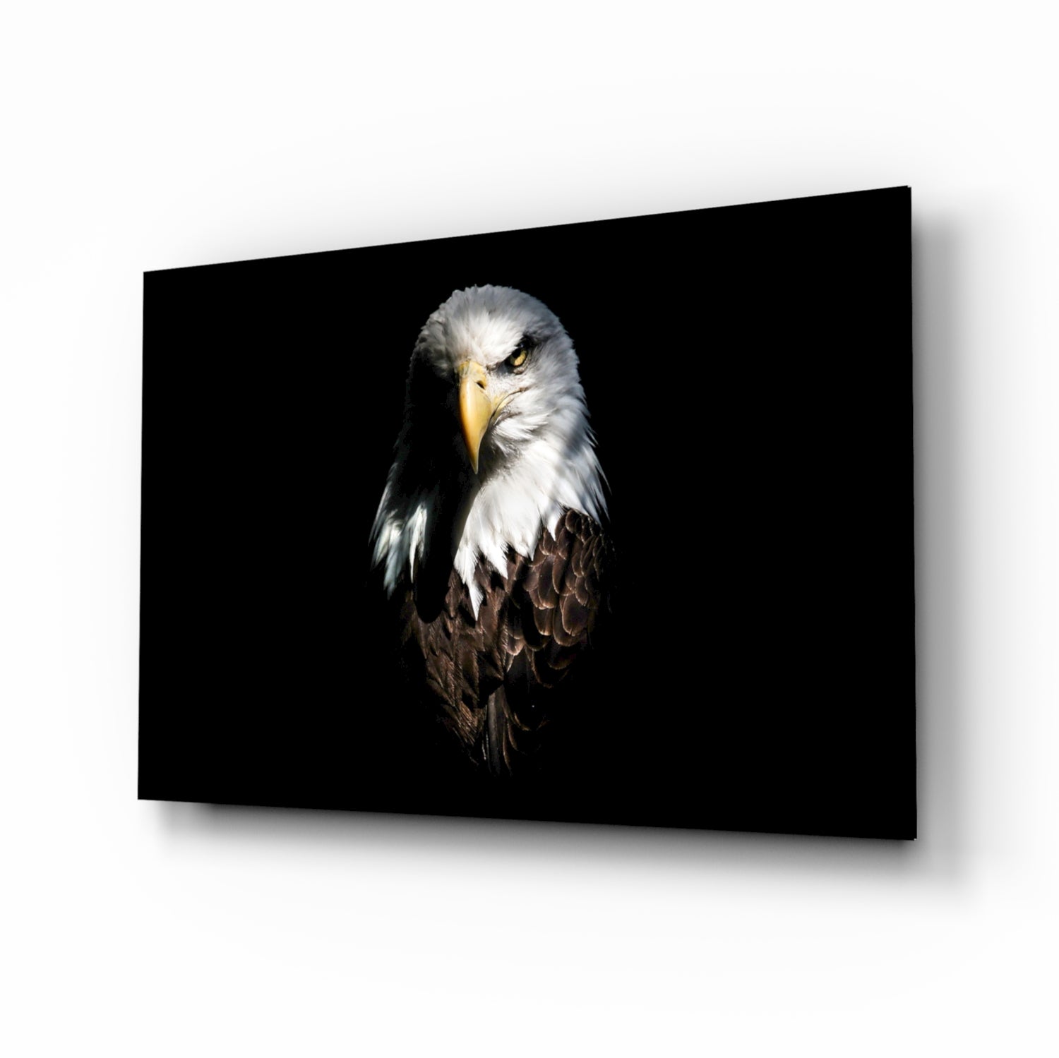 Eagle Glass Wall Art