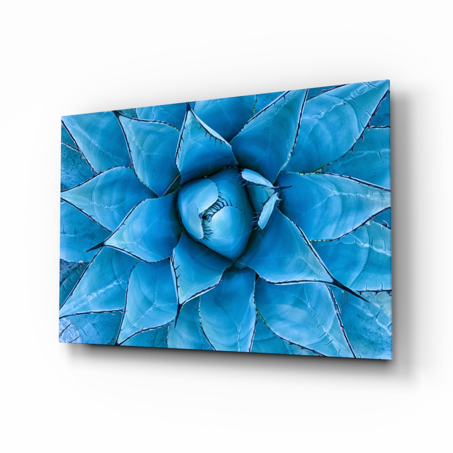 Micro Flower Glass Wall Art