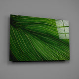 Green Leaf Glass Wall Art