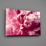 Pink Flower Glass Wall Art