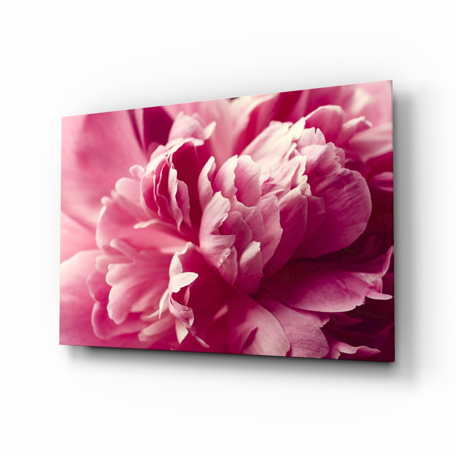 Pink Flower Glass Wall Art