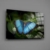 Butterfly Glass Wall Art