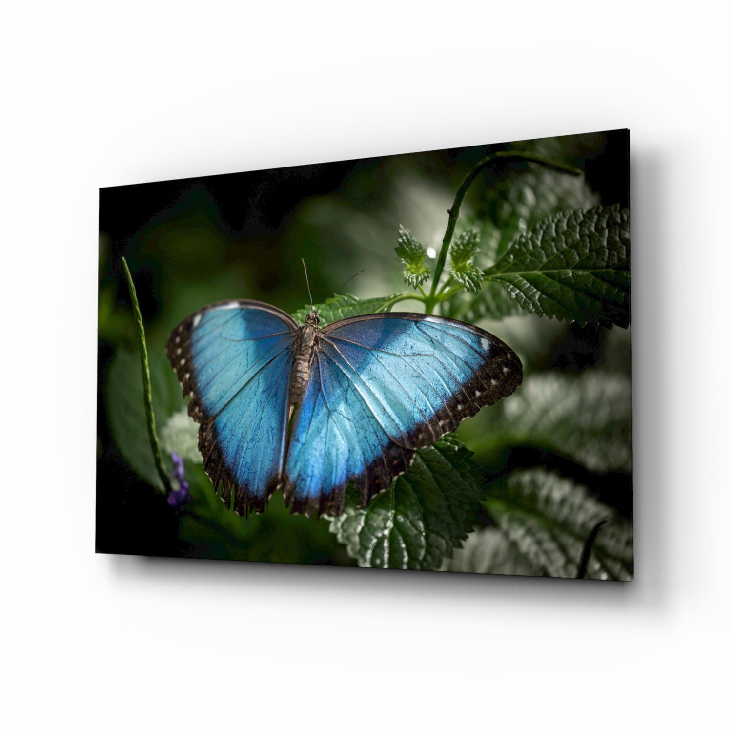 Butterfly Glass Wall Art