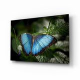 Butterfly Glass Wall Art