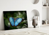 Butterfly Glass Wall Art