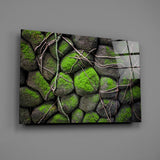 Mossy Stones Glass Wall Art