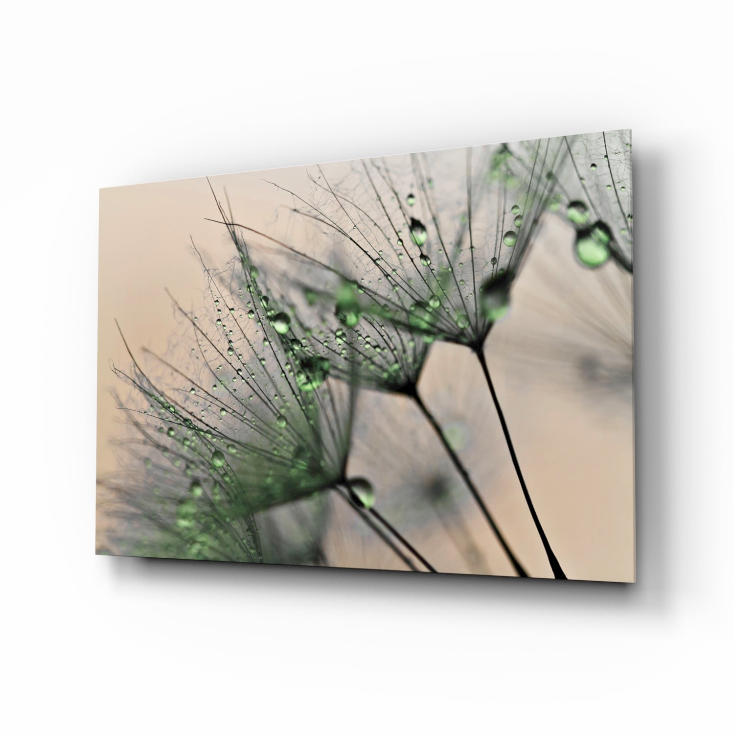 Green Dandelion Glass Wall Art