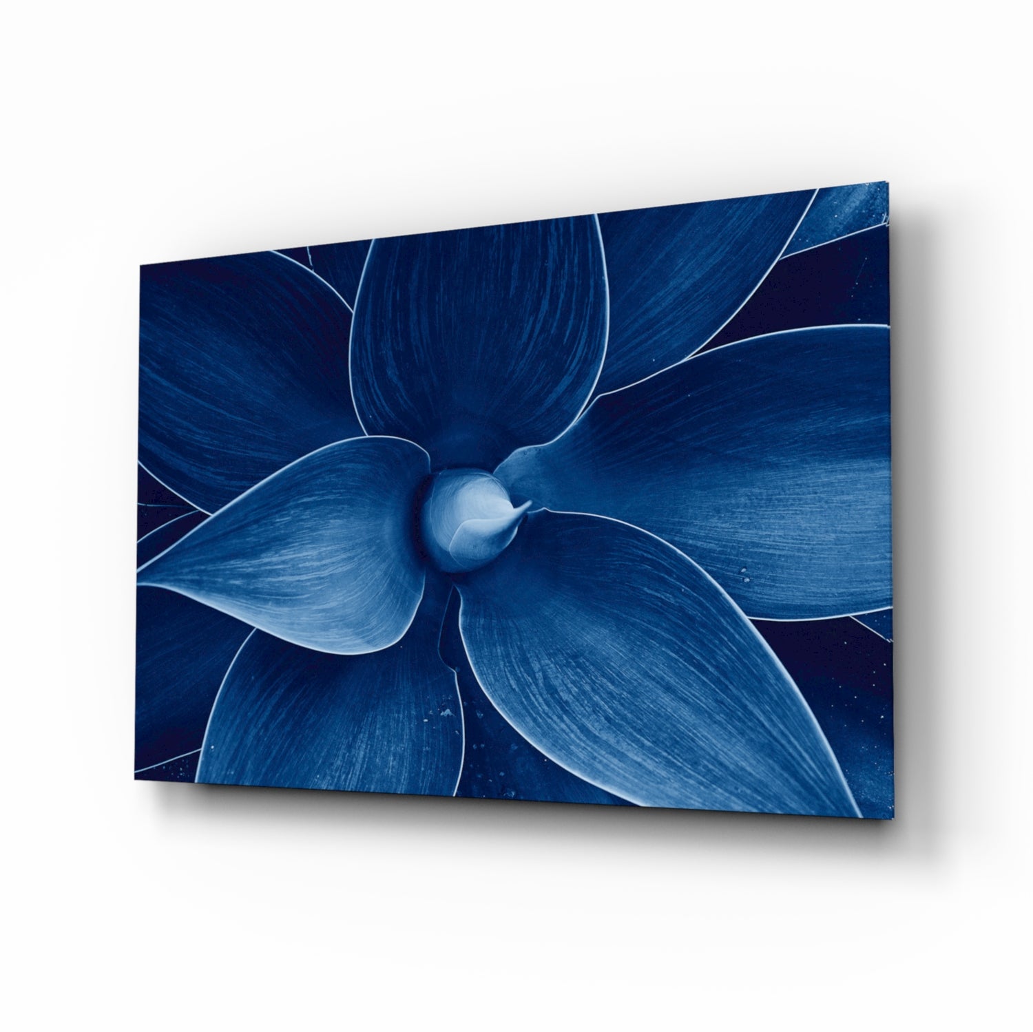 Macro Flower Glass Wall Art